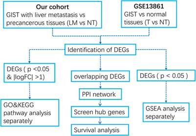 Transcriptomic study of gastrointestinal stromal tumors with liver metastasis